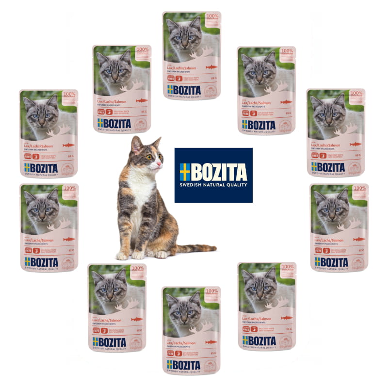 10 x łosoś 85g sos logo kot.jpg